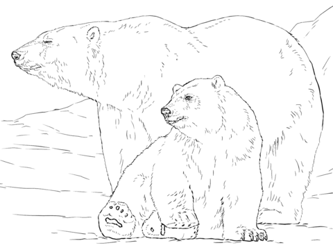 Polar Bear With Baby Coloring Page